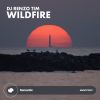 Download track Wildfire (Radio Edit)