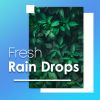 Download track Crisp Rain