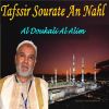 Download track Tafssir Sourate An Nahl, Pt. 2 (Quran)