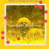 Download track Peaceful Ambiance For Calming Pups