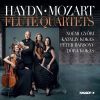 Download track Mozart Flute Quartet No. 1 In D Major, K. 285 II. Adagio