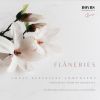 Download track Trascendental Etudes, S. 139: No. 11, Harmonies Du Soir (Welte-Mignon 844)