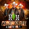 Download track El Festejo