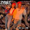 Download track Snake