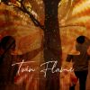 Download track Twin Flame - Music To Relax