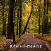 Download track 放弃规则后世俗再指责 (纯音乐)