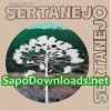 Download track Viajante Solitario (O Comboio)