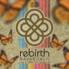 Download track The Story Of Rebirth (Continuous DJ Mix)