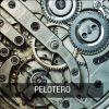 Download track Pelotero