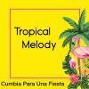 Download track Cumbia Para Una Fiesta