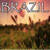 Download track Brazil - Tribute To Declan McKenna (Instrumental Version)