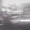 Download track Momentary