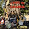 Download track Profumi Di Calabria