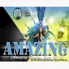 Download track Amazing (Amazing Riddim Soca 2016)