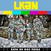 Download track Rata De Dos Patas