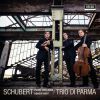 Download track Piano Trio No. 1 In B Flat, Op. 99 D. 898: 3. Scherzo: Allegro