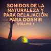 Download track Sonidos Nocturnos De Tierra Desolada 1: Grillos, Saltamontes Y Búhos