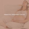 Download track Prenatal Frequency For Child Birth 246 Hz