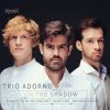 Download track Piano Trio No. 2 In C Minor, Op. 66: III. Scherzo Molto Allegro Quasi Presto