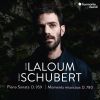 Download track Schubert Piano Sonata In A Major, D. 959 II. Andantino