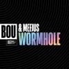 Download track Wormhole