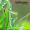 Download track Welcome To Bali Relaxation