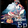 Download track Amadlozi