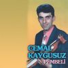 Download track Kız Sevdalığın Yolu