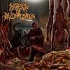 Download track Piles Of Rotting Flesh