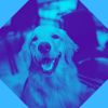 Download track Relaxed Ambience For Doggy Wellness