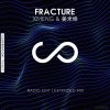 Download track Fracture (Extended Mix)