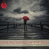 Download track Healing Sound Of The Rain