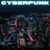 Download track Cyberpunk (Slowed)