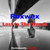 Download track Lost In The Wood (Original Mix)