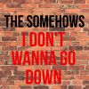 Download track I Don't Wanna Go Down