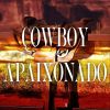 Download track Cowboy Apaixonado