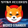 Download track Wicked Stranger