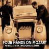 Download track Sonata For Piano 4-Hands In B-Flat Major, K. 358- III. Molto Presto