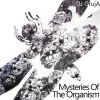 Download track Mysteries Of The Organism (Benamer Remix)