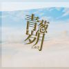 Download track 青葱岁月 (伴奏)