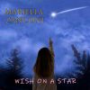 Download track Wish On A Star