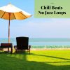 Download track Chill Beats Nu Jazz Loops