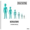 Download track Sensation-3