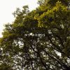 Download track My Woods