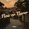 Download track Now Or Never