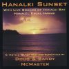 Download track Ki Ho'alu Hanalei