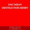 Download track Destruction Derby (Original Mix)