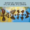 Download track The Future Flows From Here