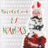 Download track Llorando Tu Partida (Lucecitas De Navidad)