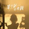 Download track 等不到你爱我